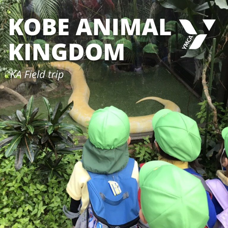Animal Kingdom Field Trip