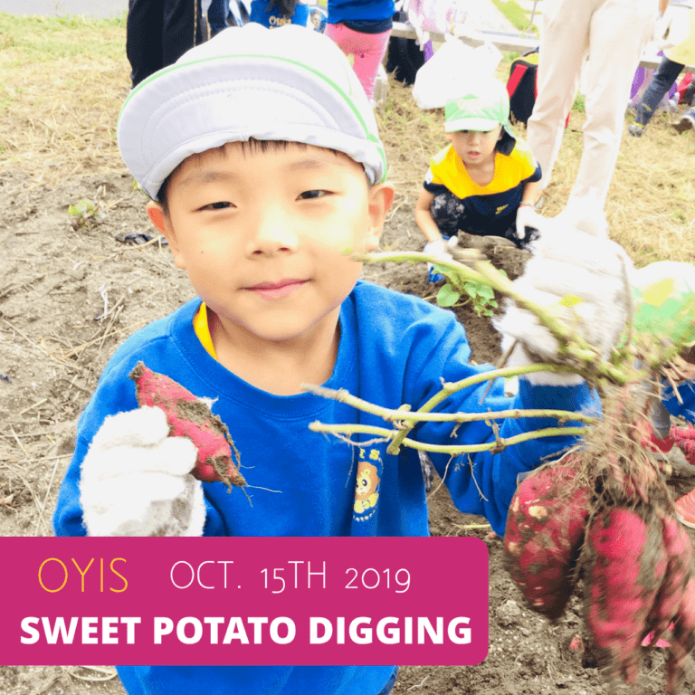 KB Potato Digging 2019